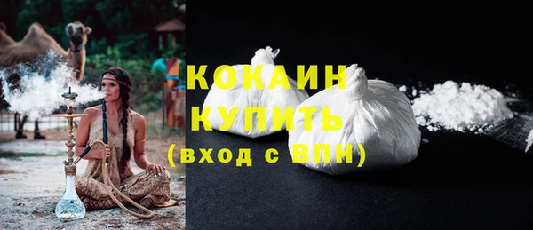 шишки Беломорск