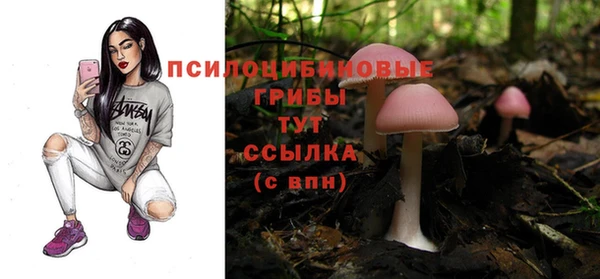 индика Белоозёрский