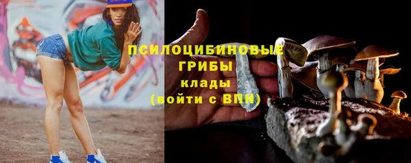 шишки Беломорск