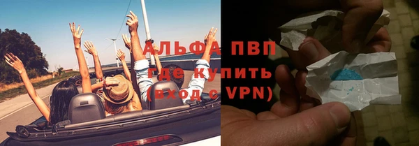 шишки Беломорск