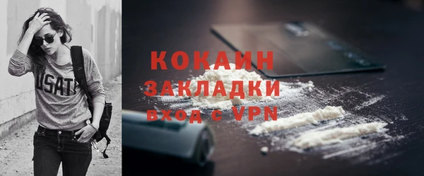 шишки Беломорск