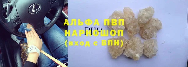 индика Белоозёрский