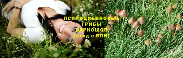 шишки Беломорск