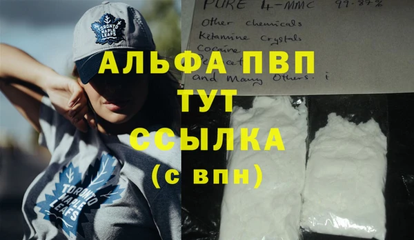 шишки Беломорск