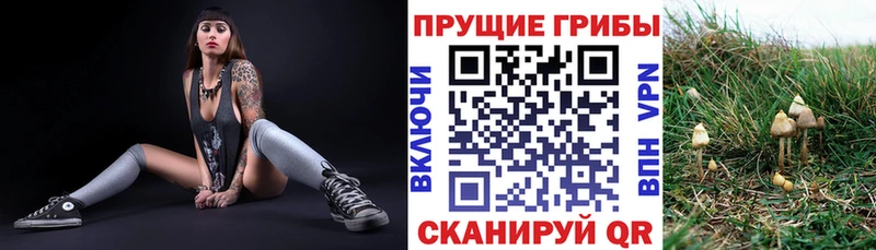 Псилоцибиновые грибы прущие грибы Трёхгорный