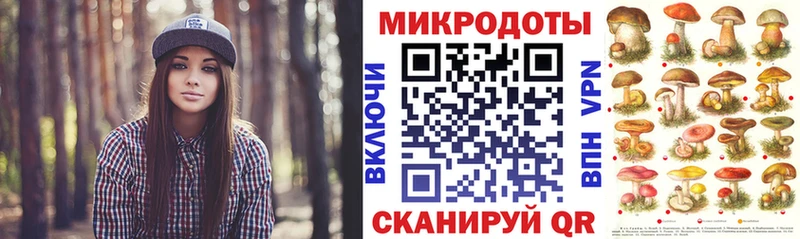 Псилоцибиновые грибы Psilocybe Трёхгорный